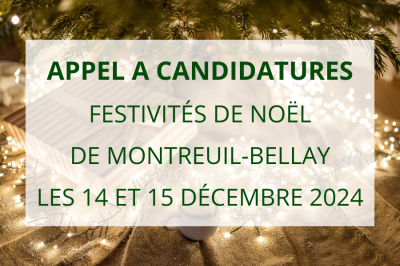 Appel à candidatures : Festivités de Noël 